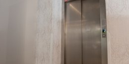 _mg_1082